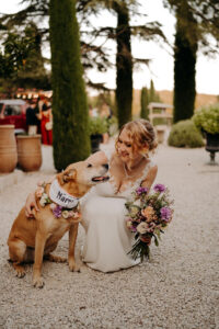 la mariée qui caresse son chien le jour J avec son bouquet de fleur et la couronne de sa chienne assortie dans la cour du mas des costes à Orgon